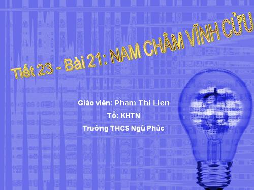 Bài 21. Nam châm vĩnh cửu