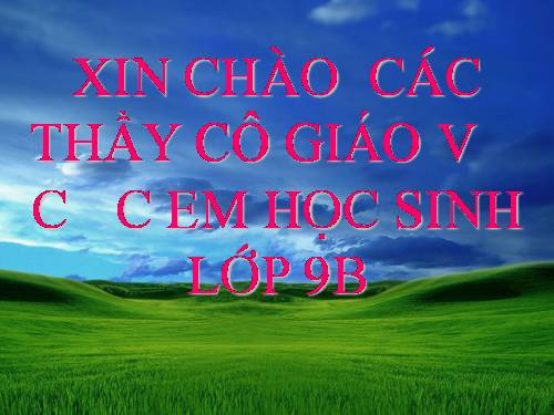 Bài 21. Nam châm vĩnh cửu