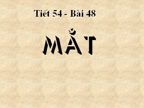 Bài 48. Mắt