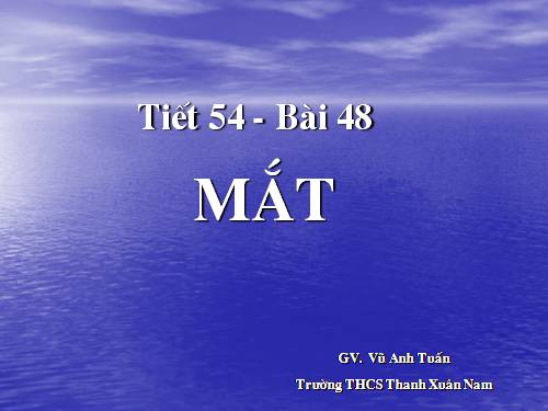 Bài 48. Mắt