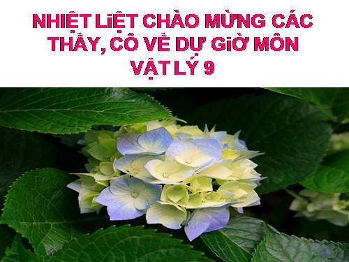 Bài 44. Thấu kính phân kì