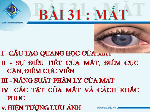 Bài 48. Mắt