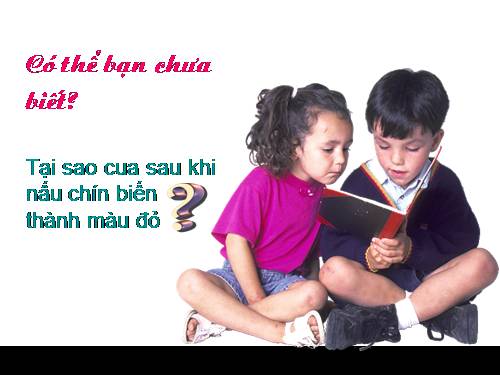 Tại sao cua chín có màu đỏ