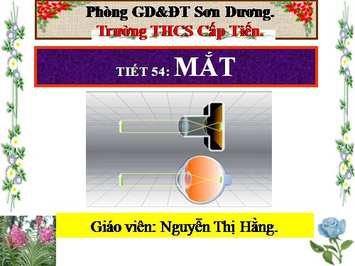 Bài 48. Mắt