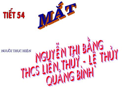 Bài 48. Mắt