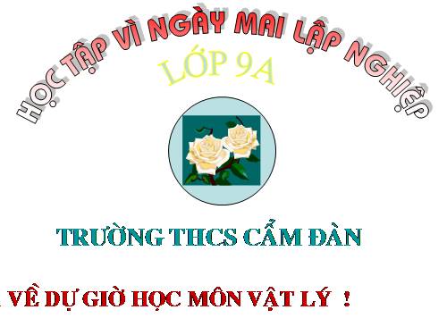 Bài 27. Lực điện từ