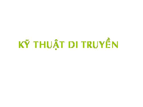 di truyen nst o ca