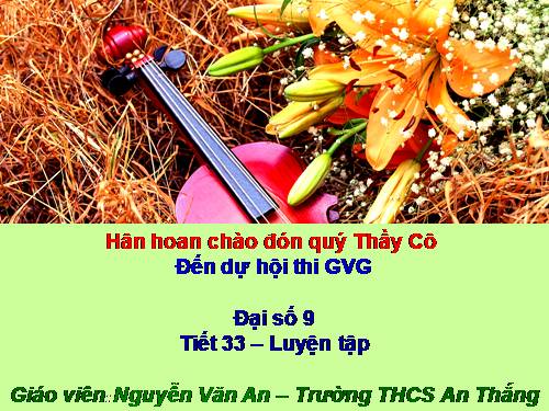 Tiết 33-Luyện tập (Thi GVG_Đại số 9)