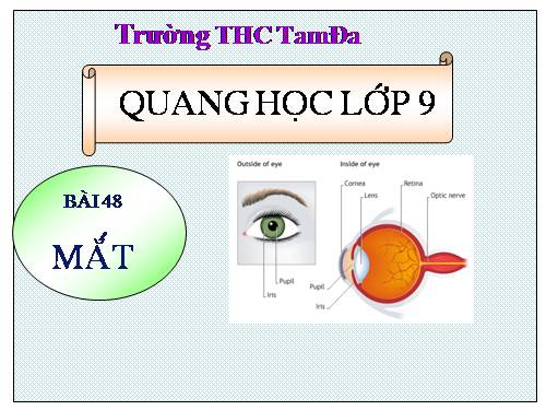 Bài 48. Mắt