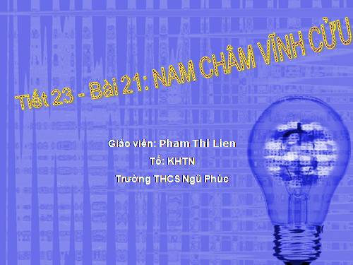 Bài 21. Nam châm vĩnh cửu