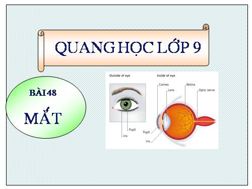 Bài 48. Mắt