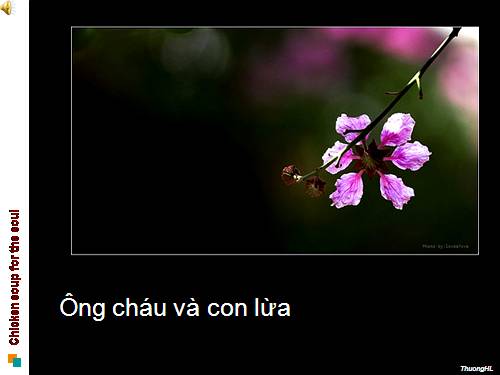 Ông cháu và con lừa