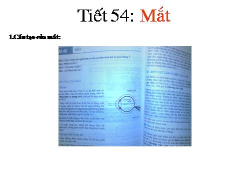 Bài 48. Mắt