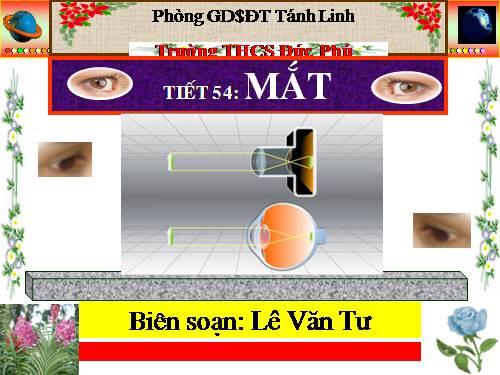 Bài 48. Mắt