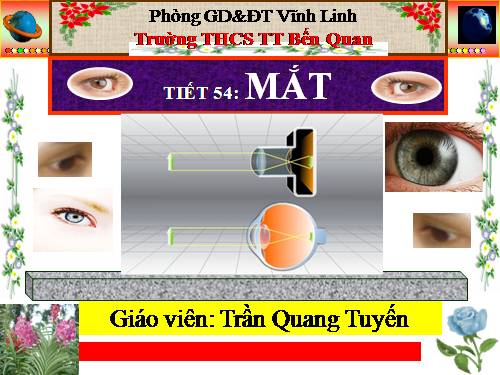 Bài 48. Mắt