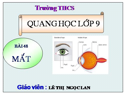 Bài 48. Mắt