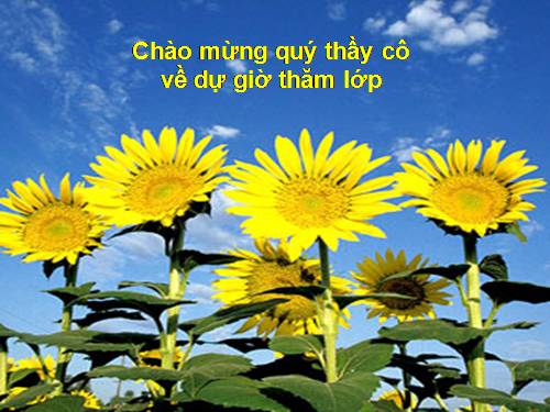 ôn tập học ki 1 lý 9