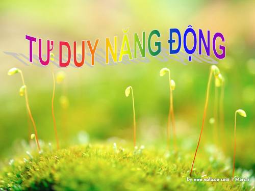 rung chuong vang