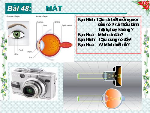 Bài 48. Mắt