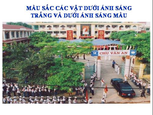 Bài 55. Màu sắc các vật dưới ánh sáng trắng và dưới ánh sáng màu