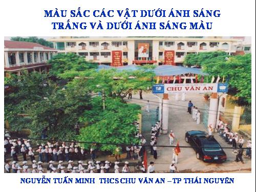 Bài 55. Màu sắc các vật dưới ánh sáng trắng và dưới ánh sáng màu