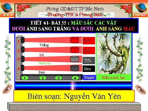 Bài 55. Màu sắc các vật dưới ánh sáng trắng và dưới ánh sáng màu