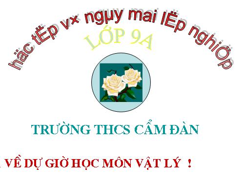 Bài 27. Lực điện từ