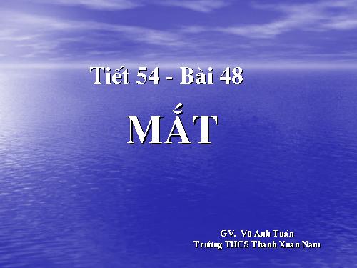 Bài 48. Mắt