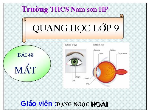 Bài 48. Mắt