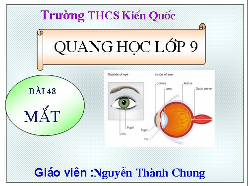 Bài 48. Mắt