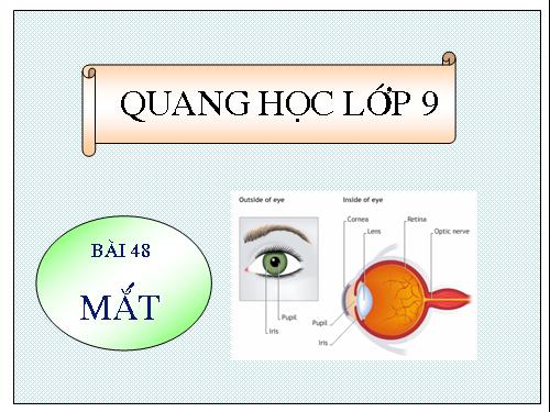 Bài 48. Mắt