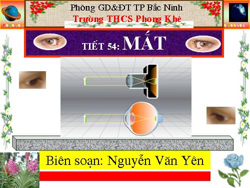 Bài 48. Mắt