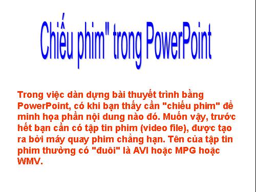 Chieu phim trong PP