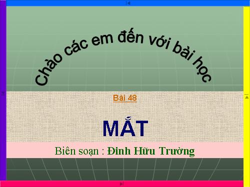 Bài 48. Mắt