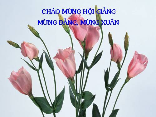 Bài 47. Sự tạo ảnh trong máy ảnh