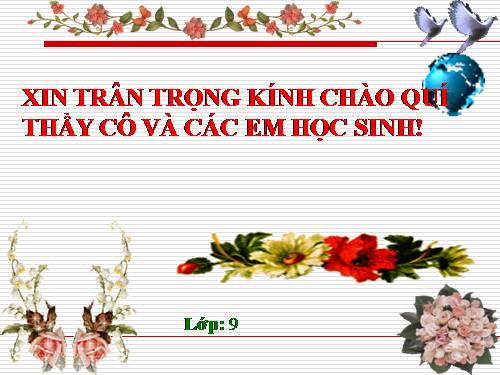 bài giảng điện tử phân bón hóa học