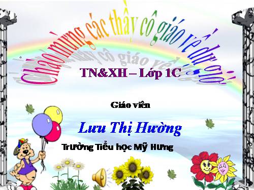 Tự nhiên xã hội : Bài 17