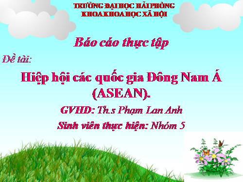 Hiệp hội các quốc gia Đông Nam Á (ASEAN)