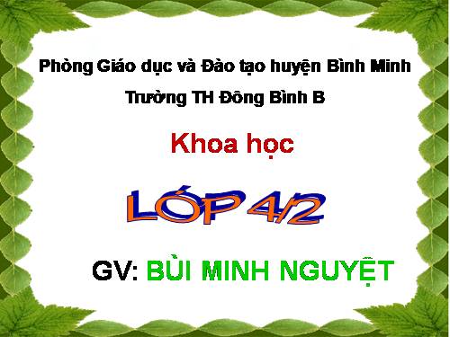 khoa học lớp 4 tuần 17 tiết 33