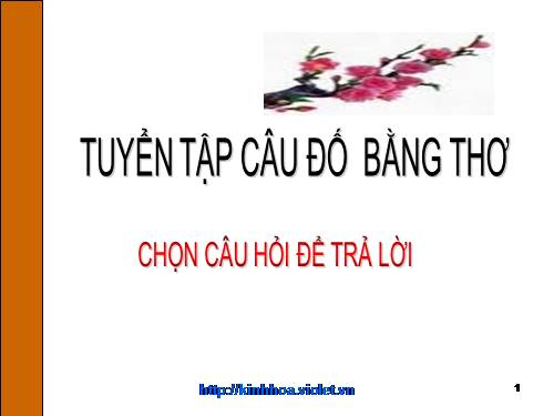 câu đố