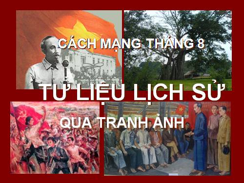 Tư liệu lịch sử cách mạng T8