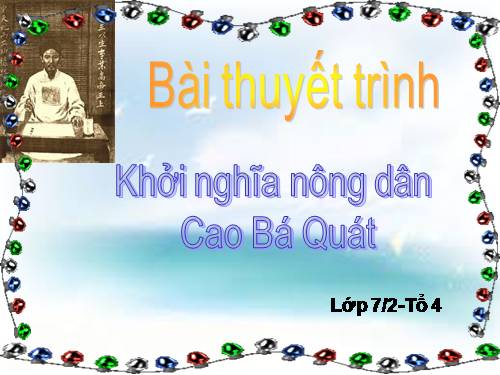 Cuộc khởi nghĩa nông dân Cao Bá Quát Lịch sử 7