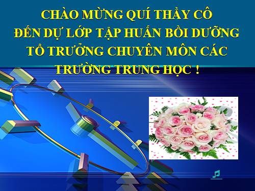 tap huan to truong chuyen mon