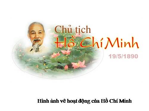 Bộ sưu tập những hình ảnh về hoạt động của Chủ tịch Hồ Chí Minh