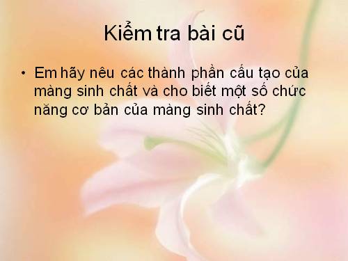 van chuyen cac chat qua mang sinh chat