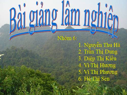 bai lam nghiep