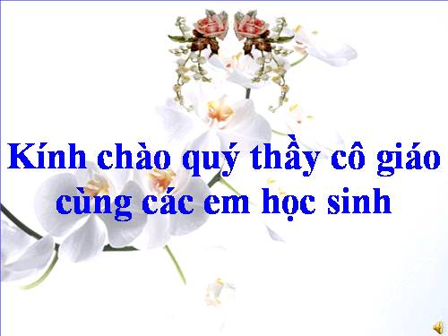 Bài 7 lịch sử 6