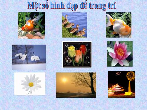 trang tri cho bai giang