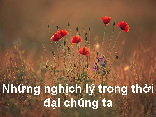 NGHỊCH LÍ CUỘC SỐNG
