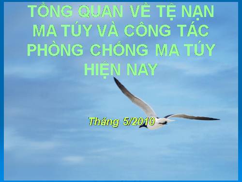 giáo an tuyen truyen phong chong ma tuy